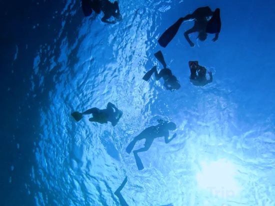 Фото Oceana Inn Maldives