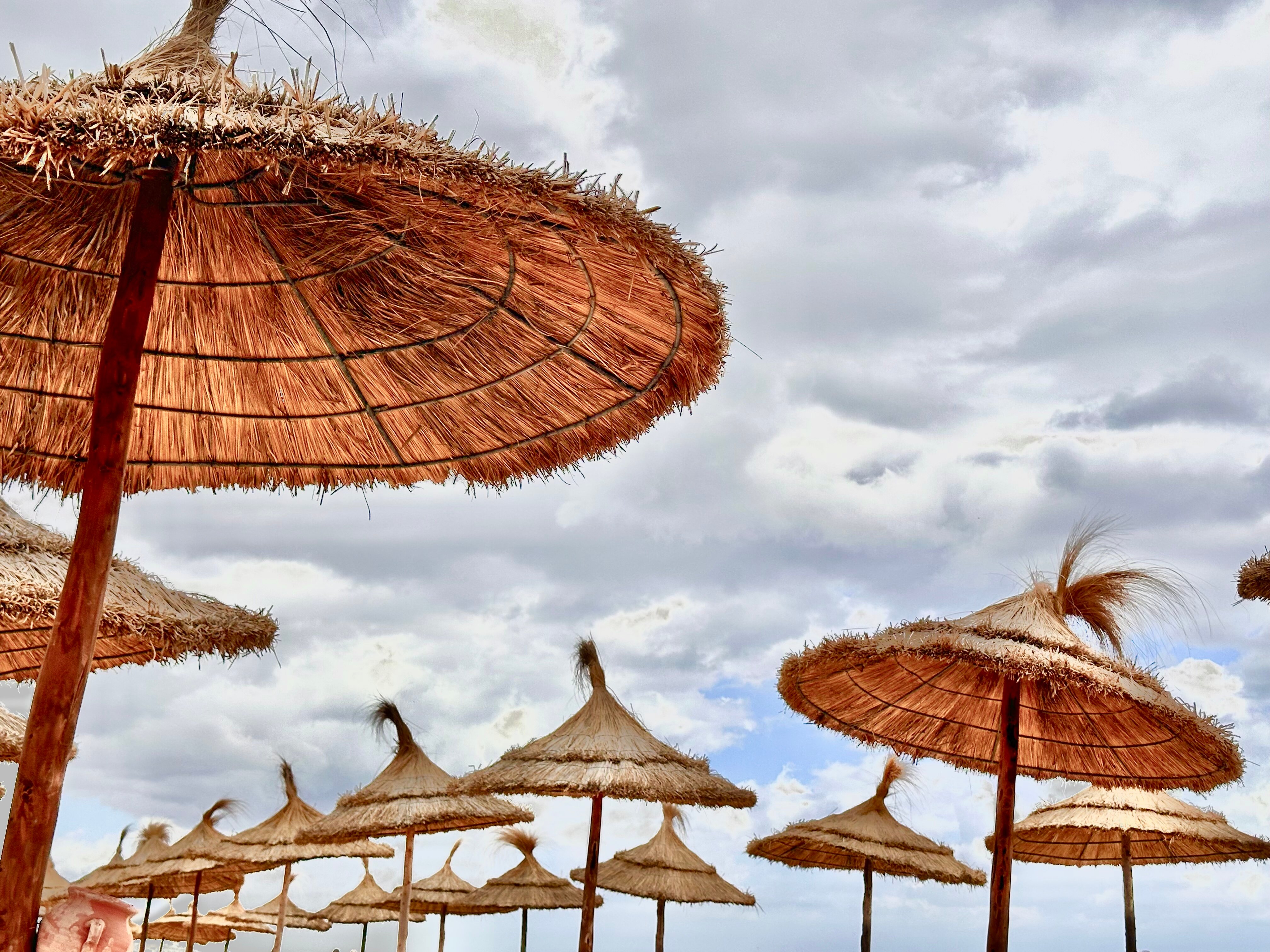 Фото Steigenberger Marhaba Thalasso Hammamet