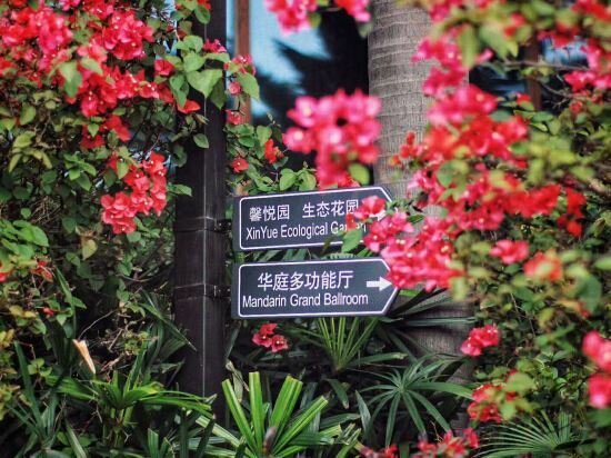 Фото Xiamen C&d Hotel-Free Welcome Snacks-Oasis Garden