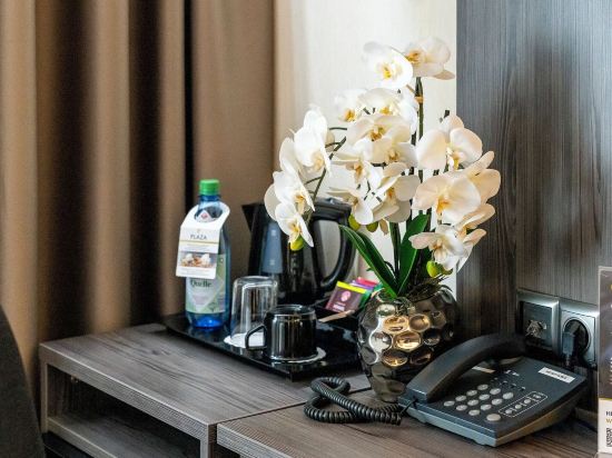 Фото Plaza Hotel Buchhorner Hof