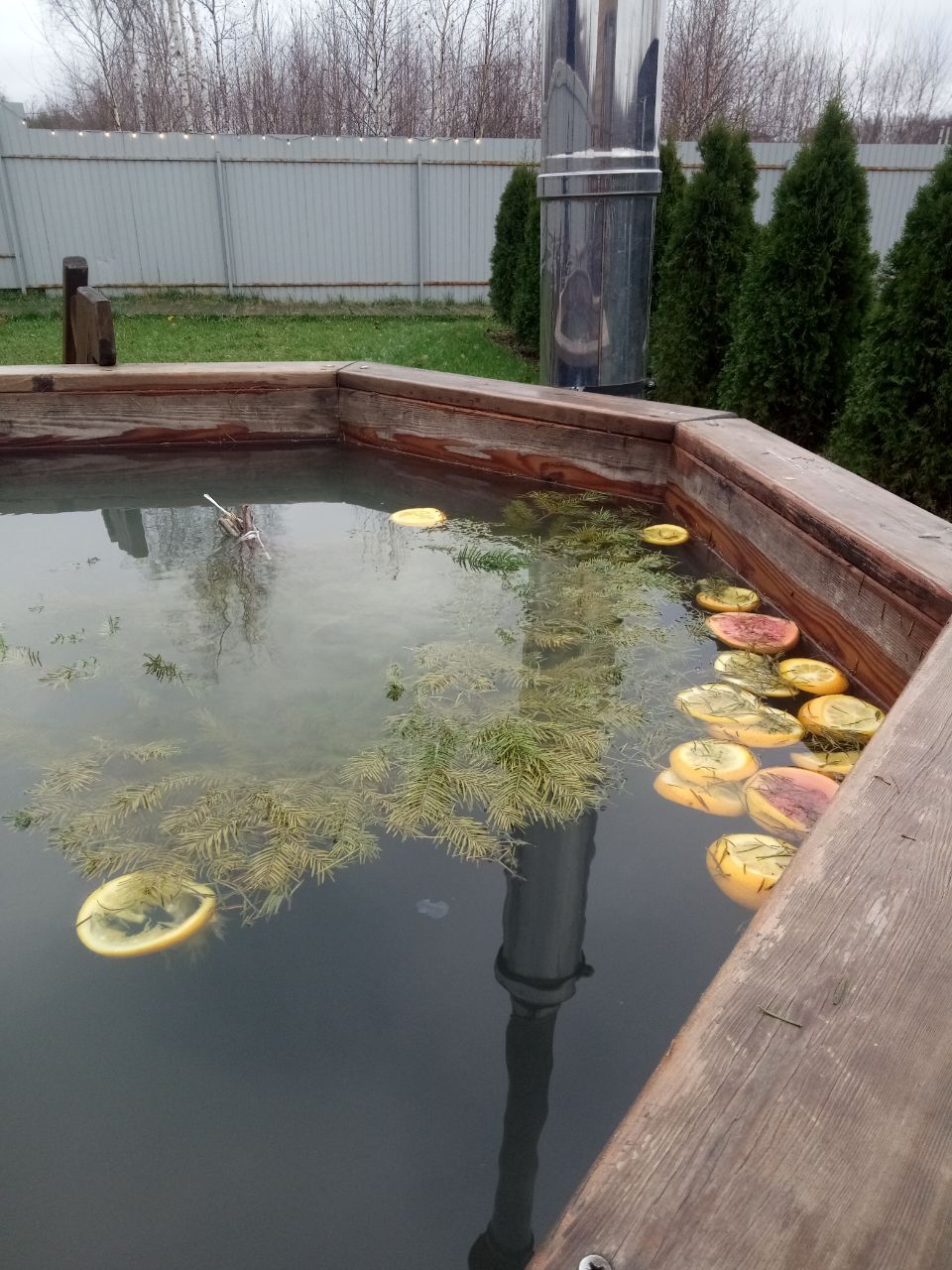 Фото Горький Виледж