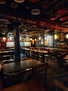 Delirium Cafe (Brussels, Impasse de la Fidélité, 4), bar, pub