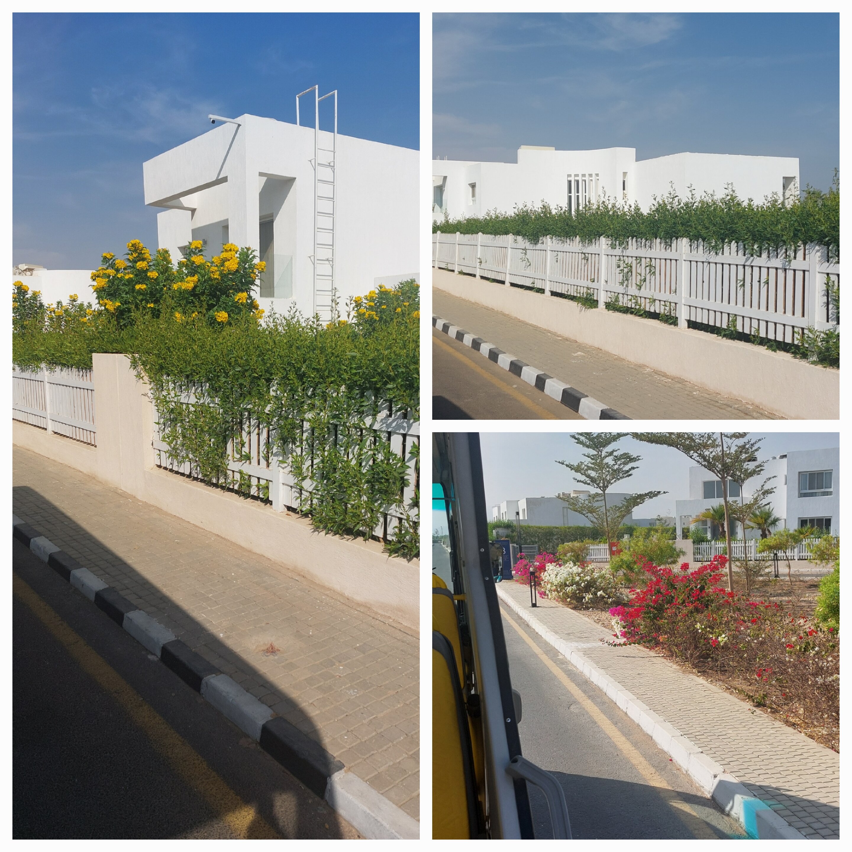 Фото Pickalbatros Luxury Suites