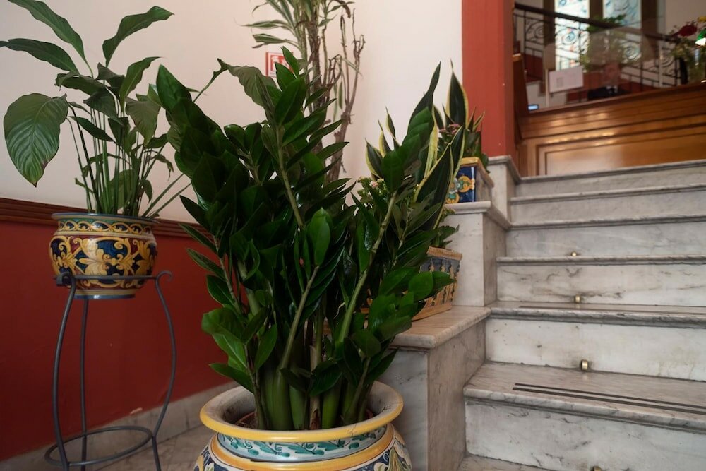 Фото Hotel Tonic