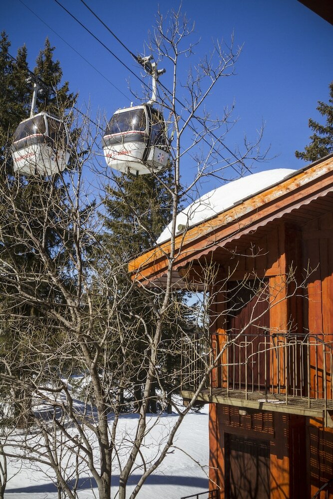 Фото Odalys New Solarium