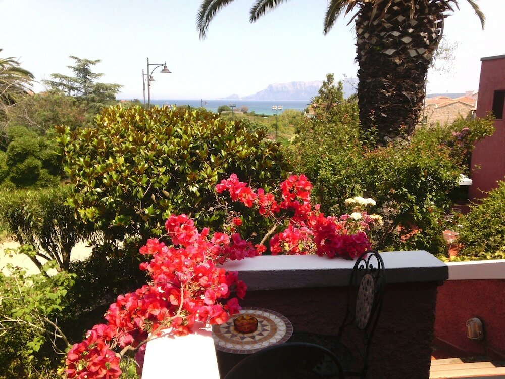 Фото Hotel Abbaruja