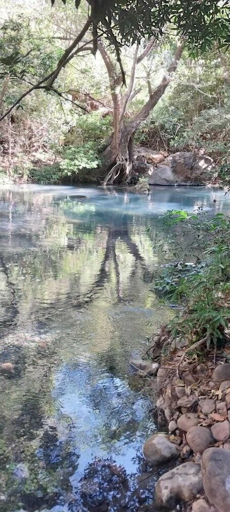 Фото Hotel Guanacaste