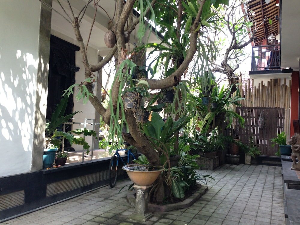 Фото Double N Guesthouse