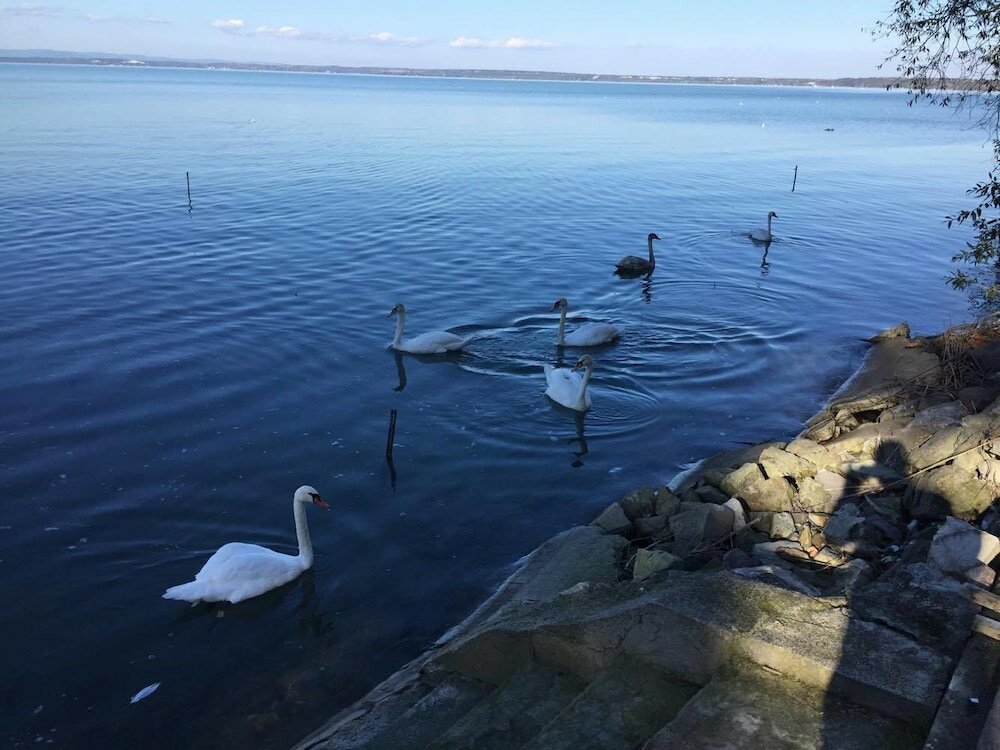 Фото Royal Mediterran