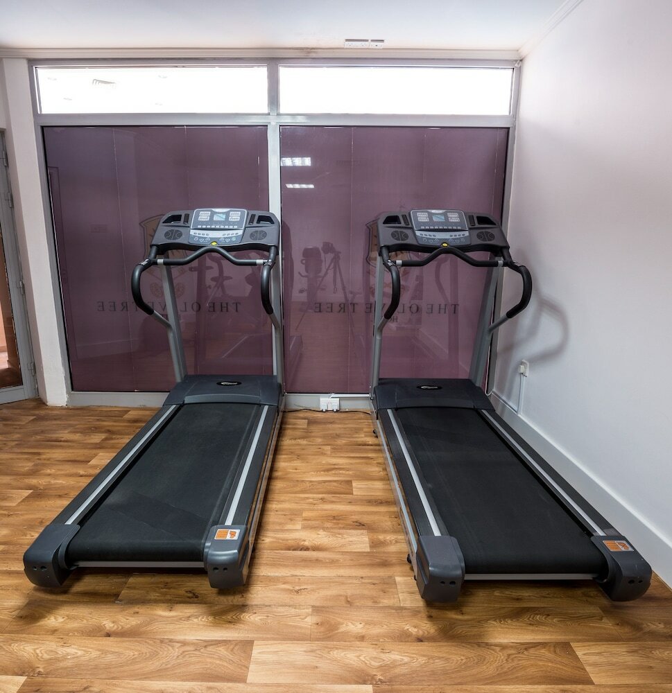 Фото The Olive Tree Hotel