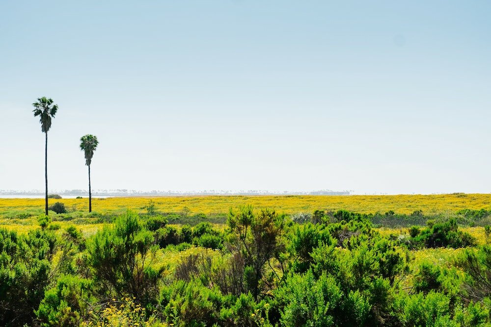 Фото The Rambler Motel