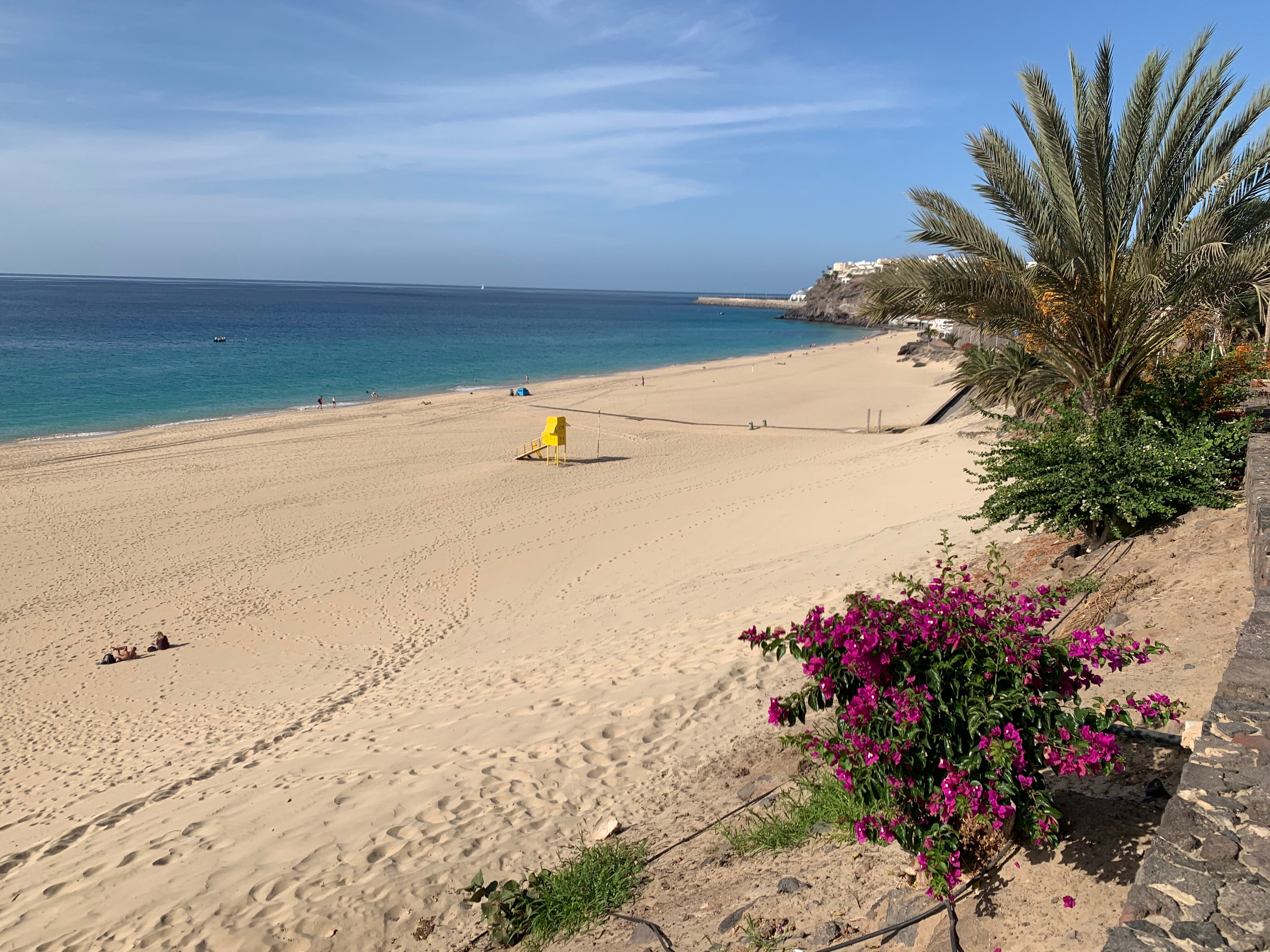 Фото Apartamentos Alberto S. L.