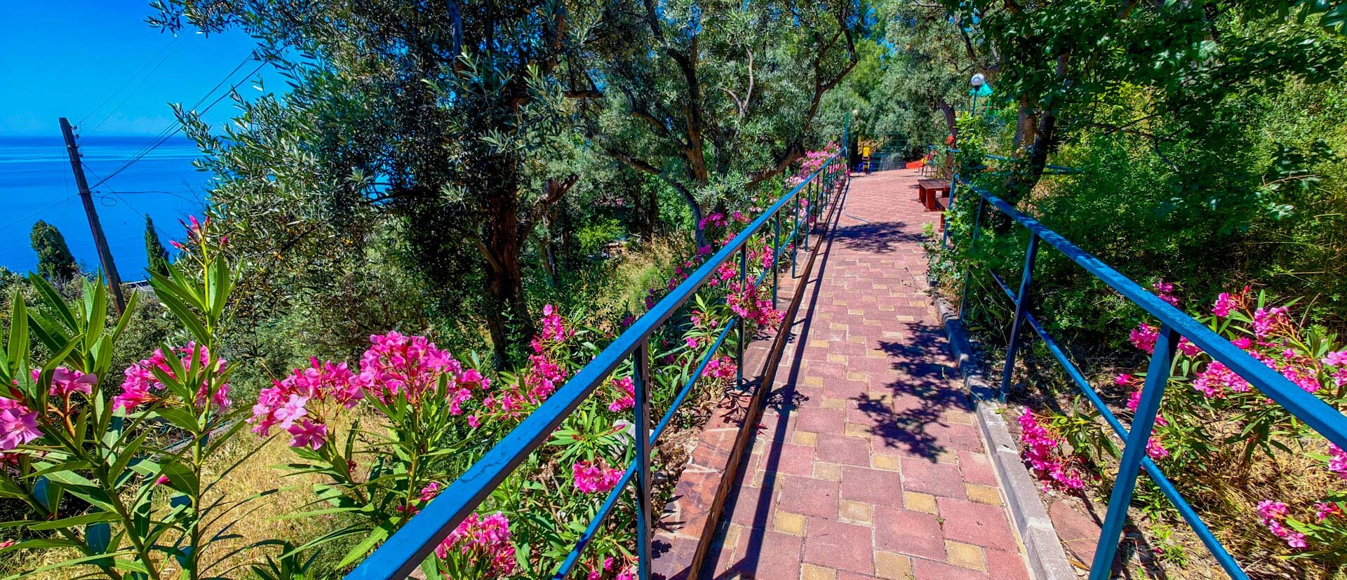 Фото Жуковка