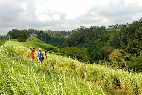 Внешний вид отеля Sri Ratih Cottages в Убуде, фото 5
