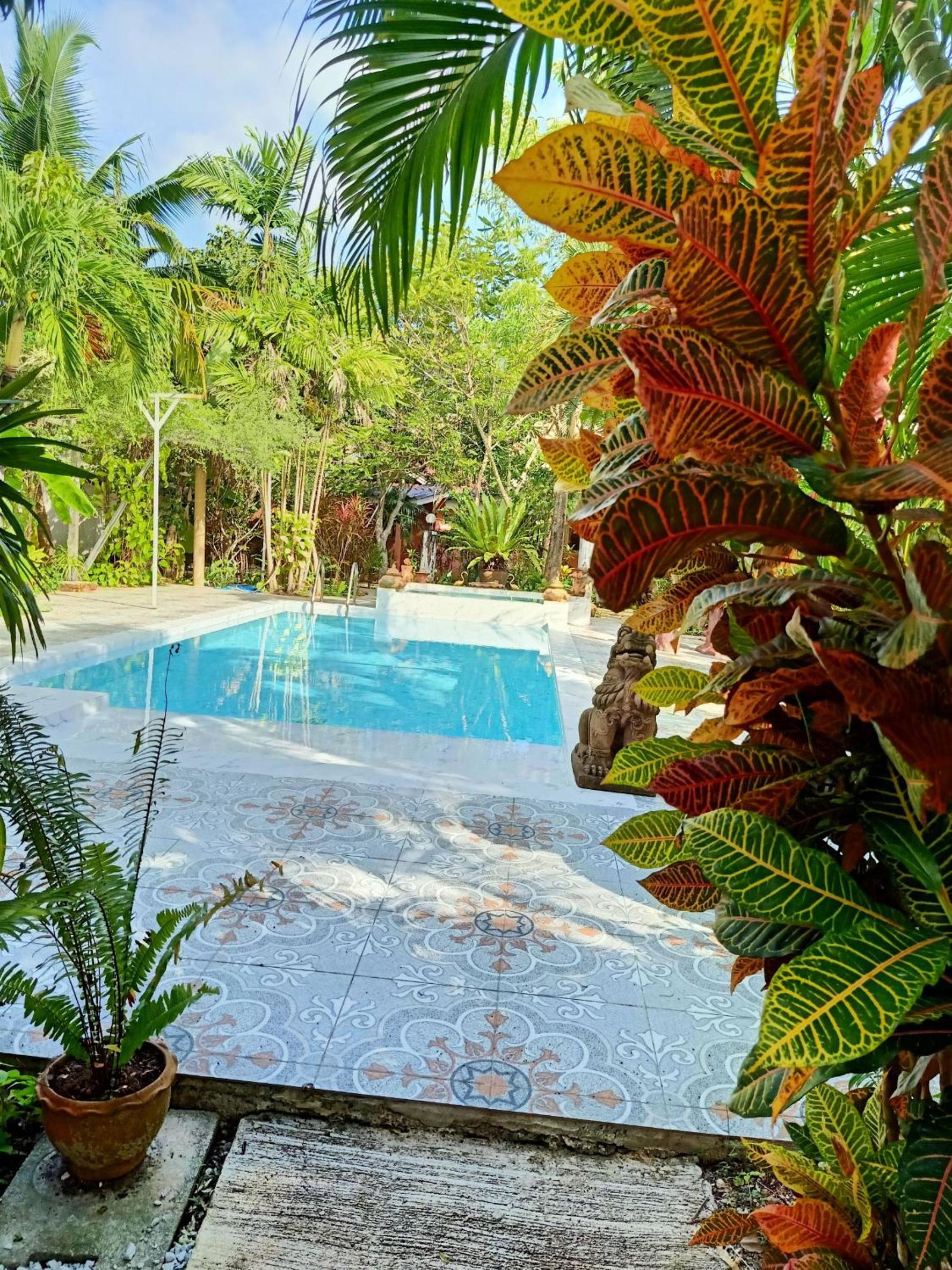 Фото Ban Elephant Blanc Apartment