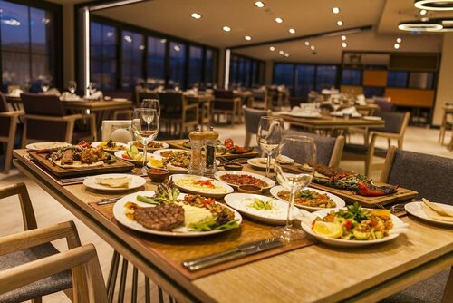 Гостиница Holiday Inn Kayseri - Duvenonu в Коджасинане