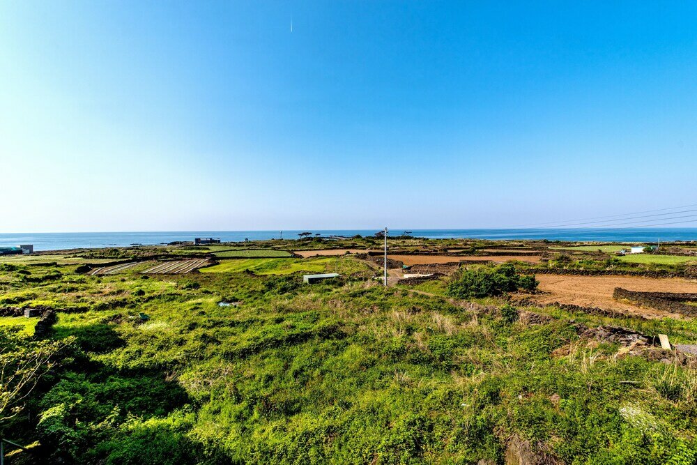 Фото Pino & Cchio Pension