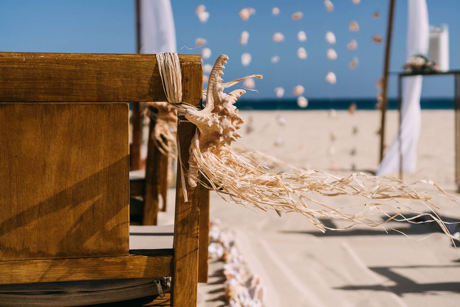 Фото Hilton Cabo Verde Sal Resort