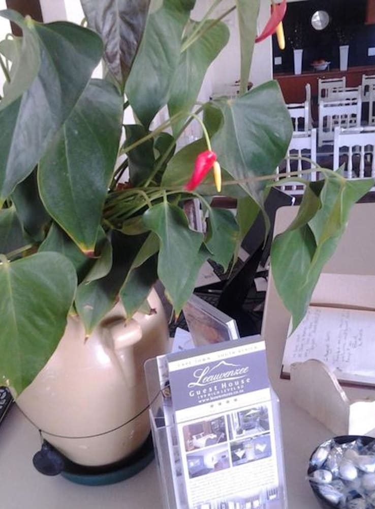 Фото Leeuwenzee Guest House