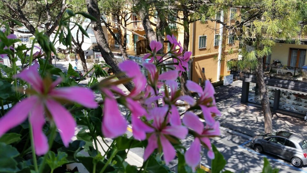 Фото Danubio Hotel