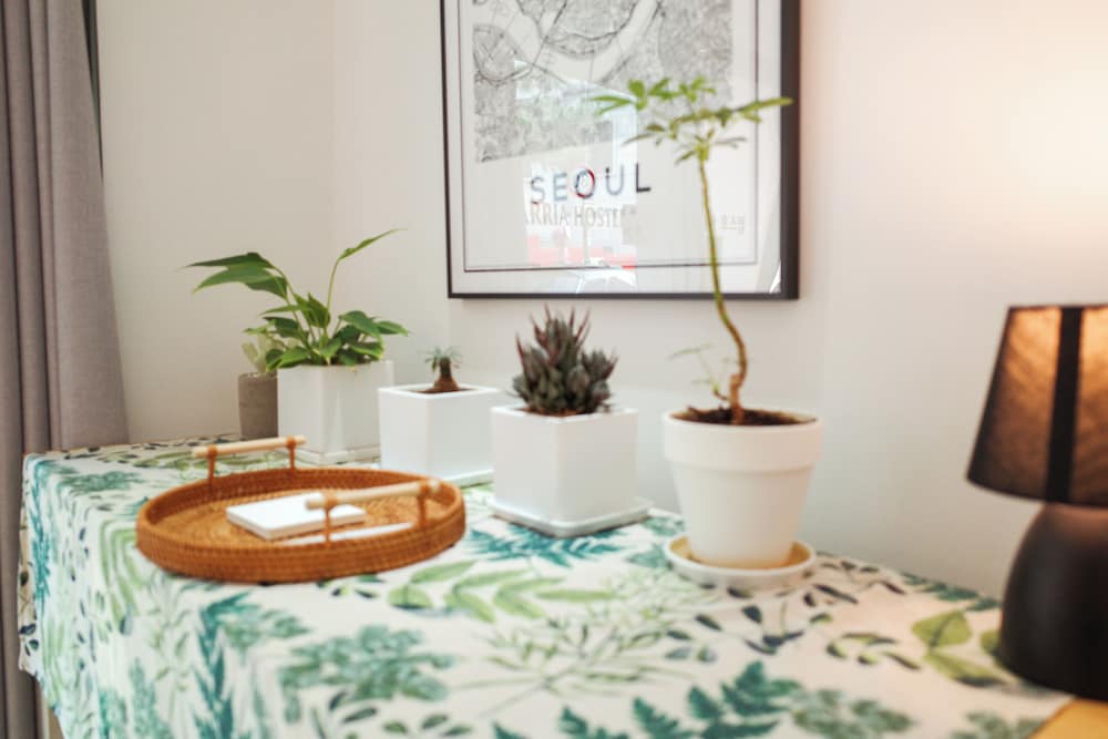 Фото Starria Hostel