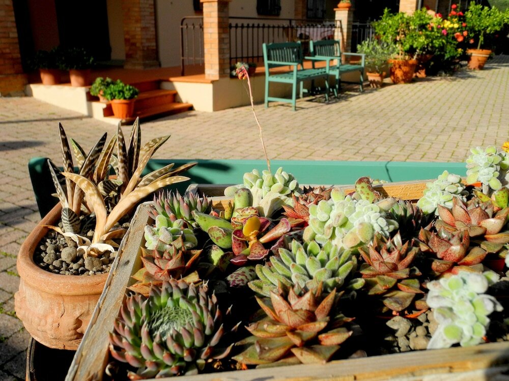 Фото Hotel Le Renaie