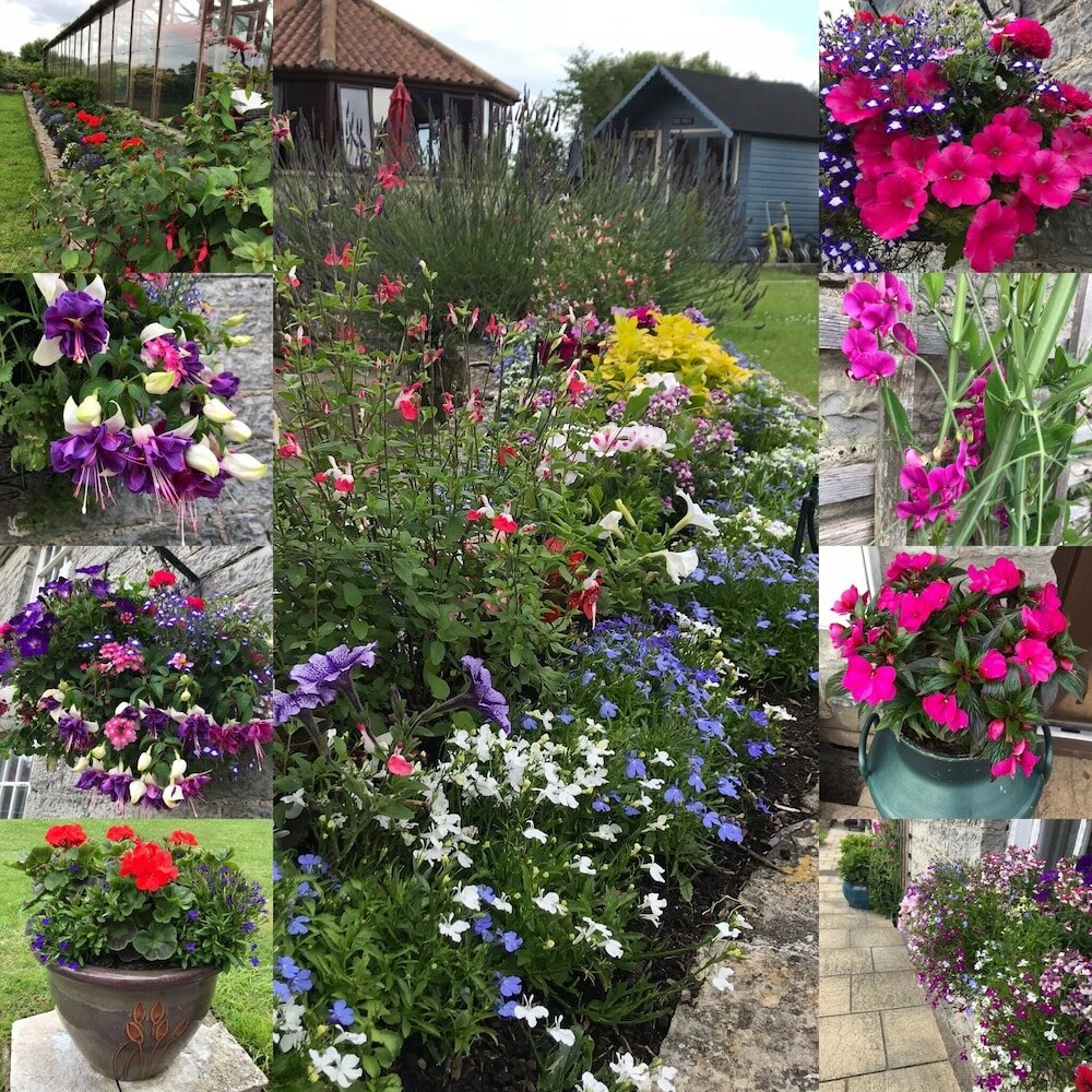 Фото Double-gate Farm