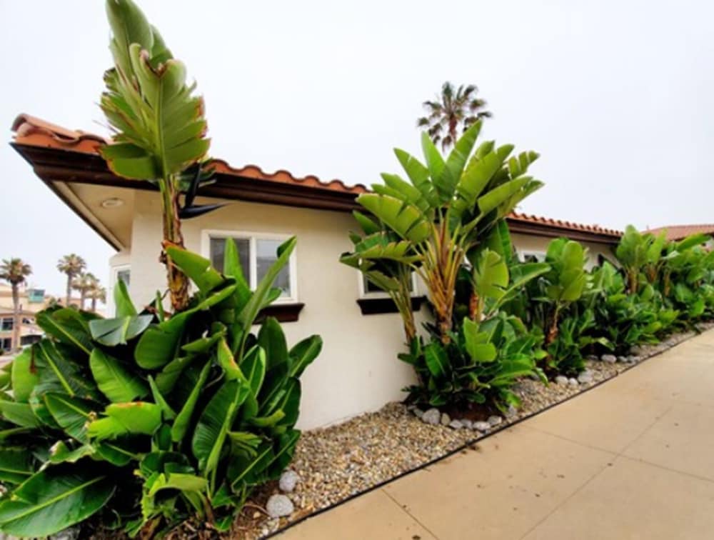 Фото Sand Castle Inn