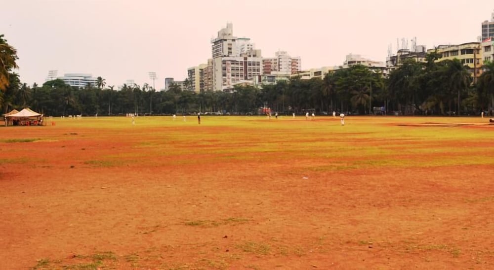 Фото Hotel Flora Fountain