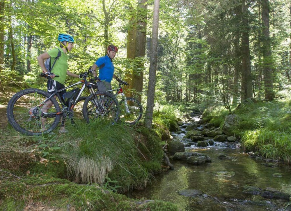 Фото Landidyll Hotel Gasthof zum Freden