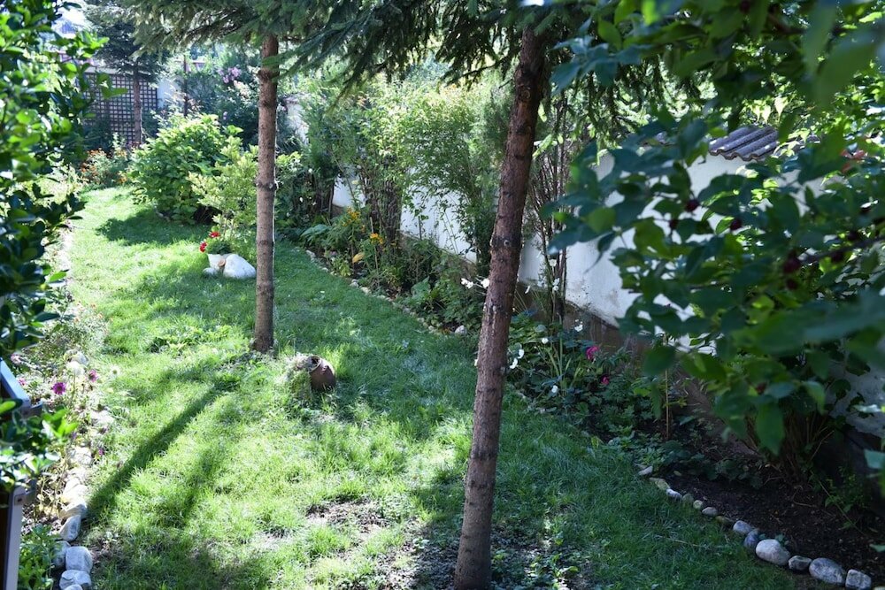 Фото Martin Club Hotel