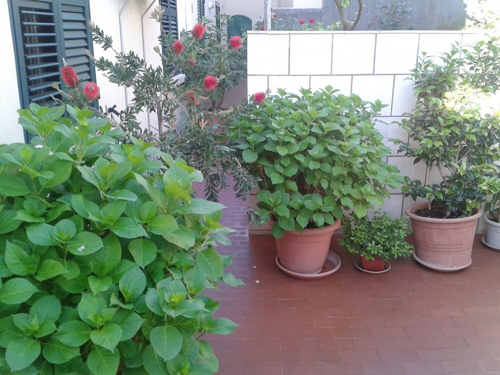 Фото Anna Guesthouse