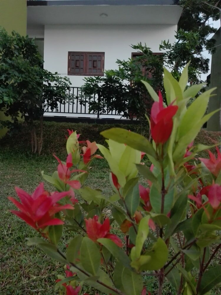 Фото Hotel Golden Ray Dambulla