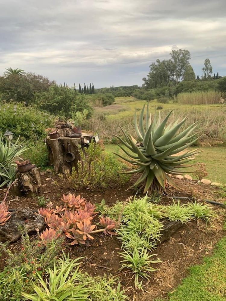 Фото Gerald's Gift Guest House