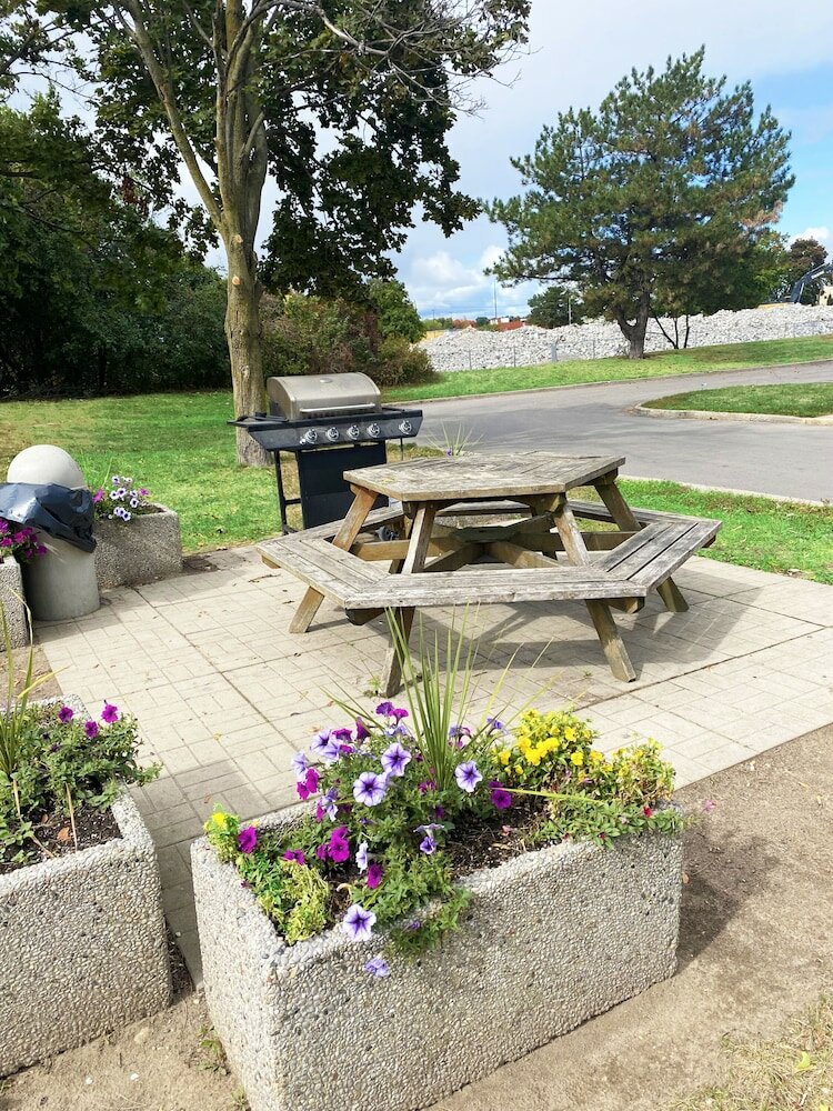 Фото Comfort Inn Cambridge