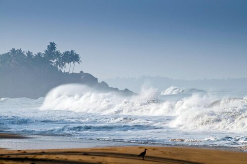 Внешний вид отеля Sri Villas в Индуруве, фото 5