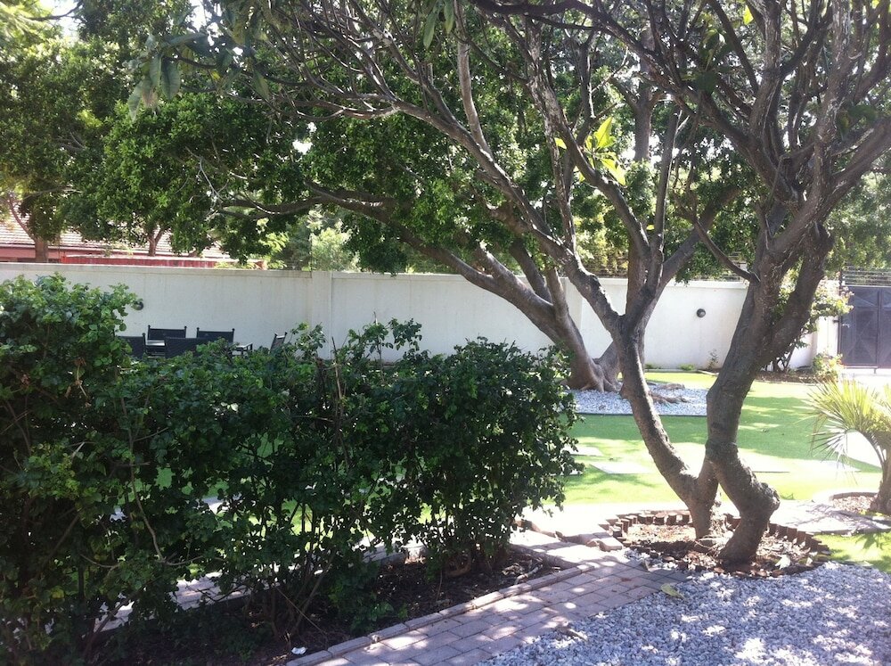 Фото Cosy Palms Guest House