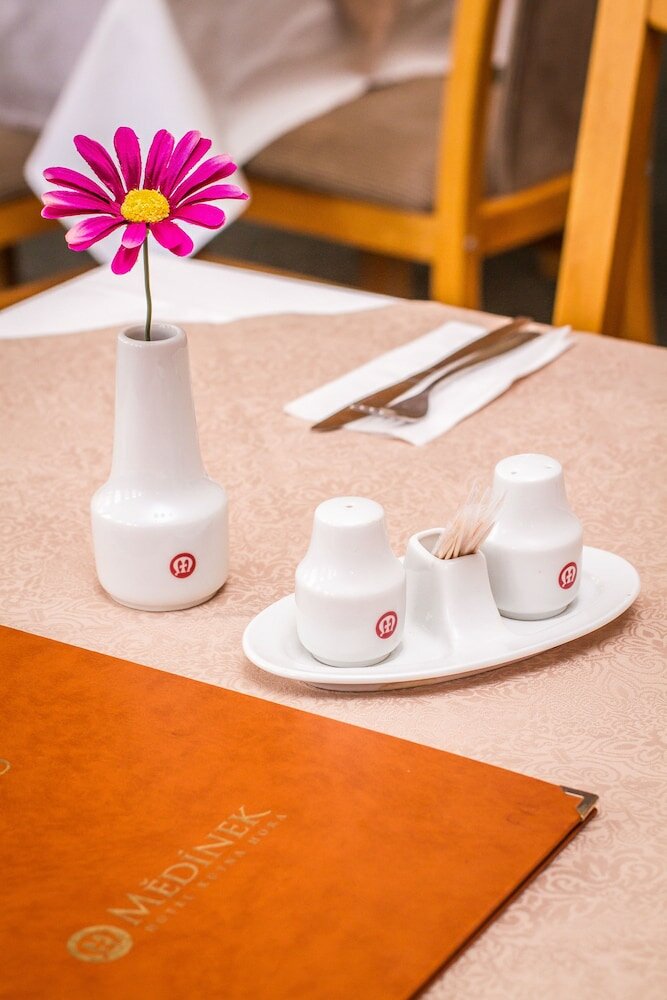 Фото Hotel Medinek Old Town