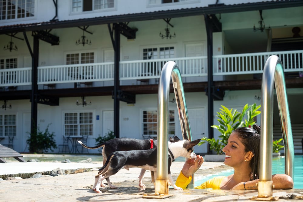 Фото Hotel Luisiana