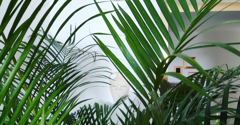 Фото Dimora TerraNostra B&b