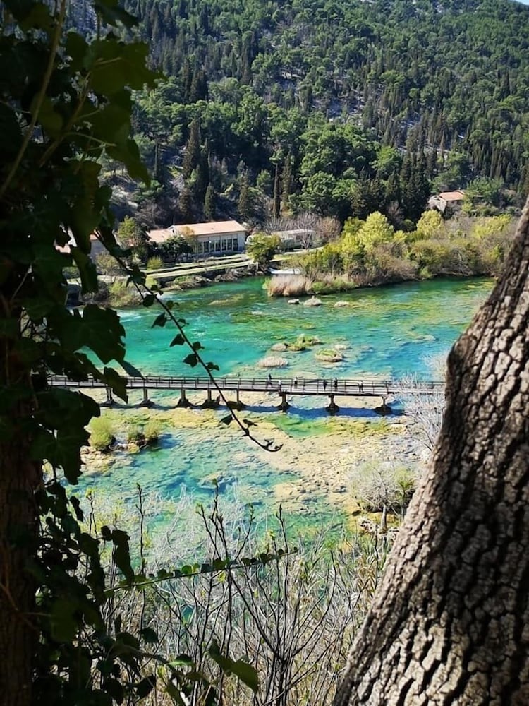 Фото Apartments Enida