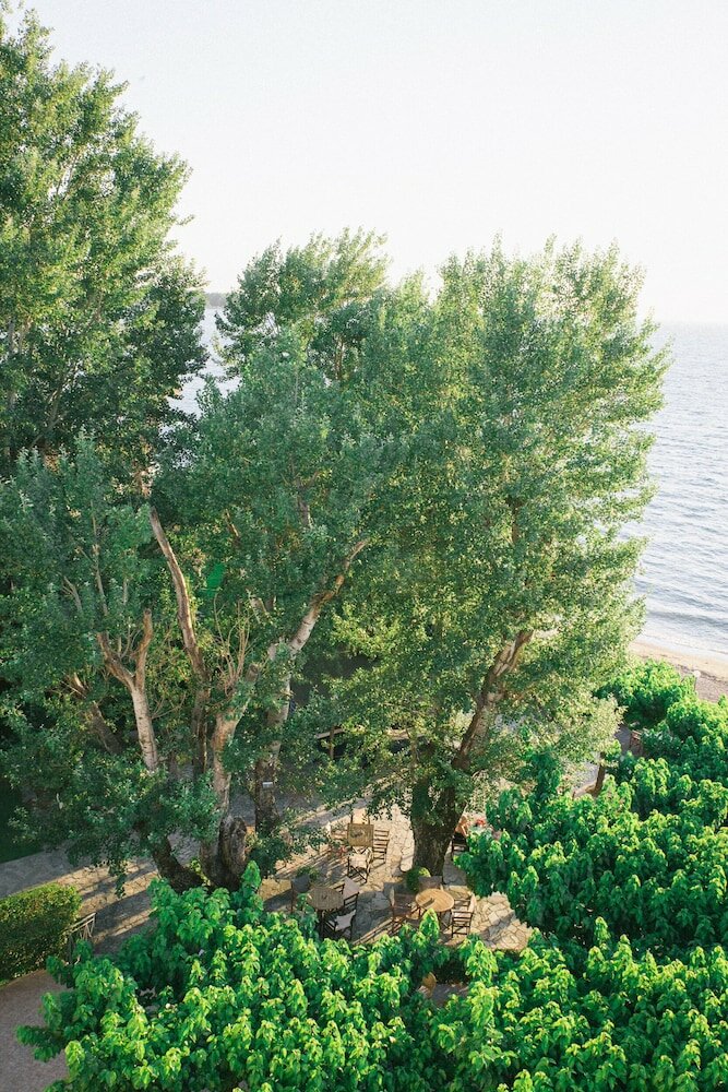 Фото Hotel Tzaki