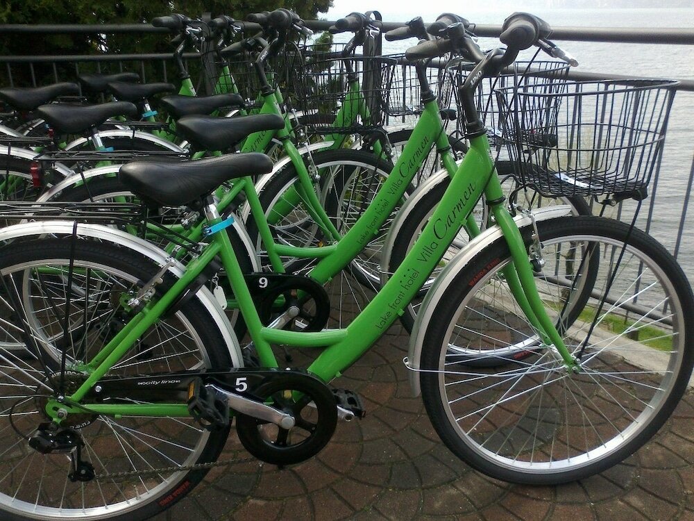 Фото Hotel Villa Carmen