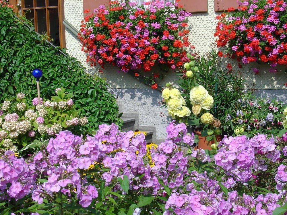 Фото Landhotel Herzberger