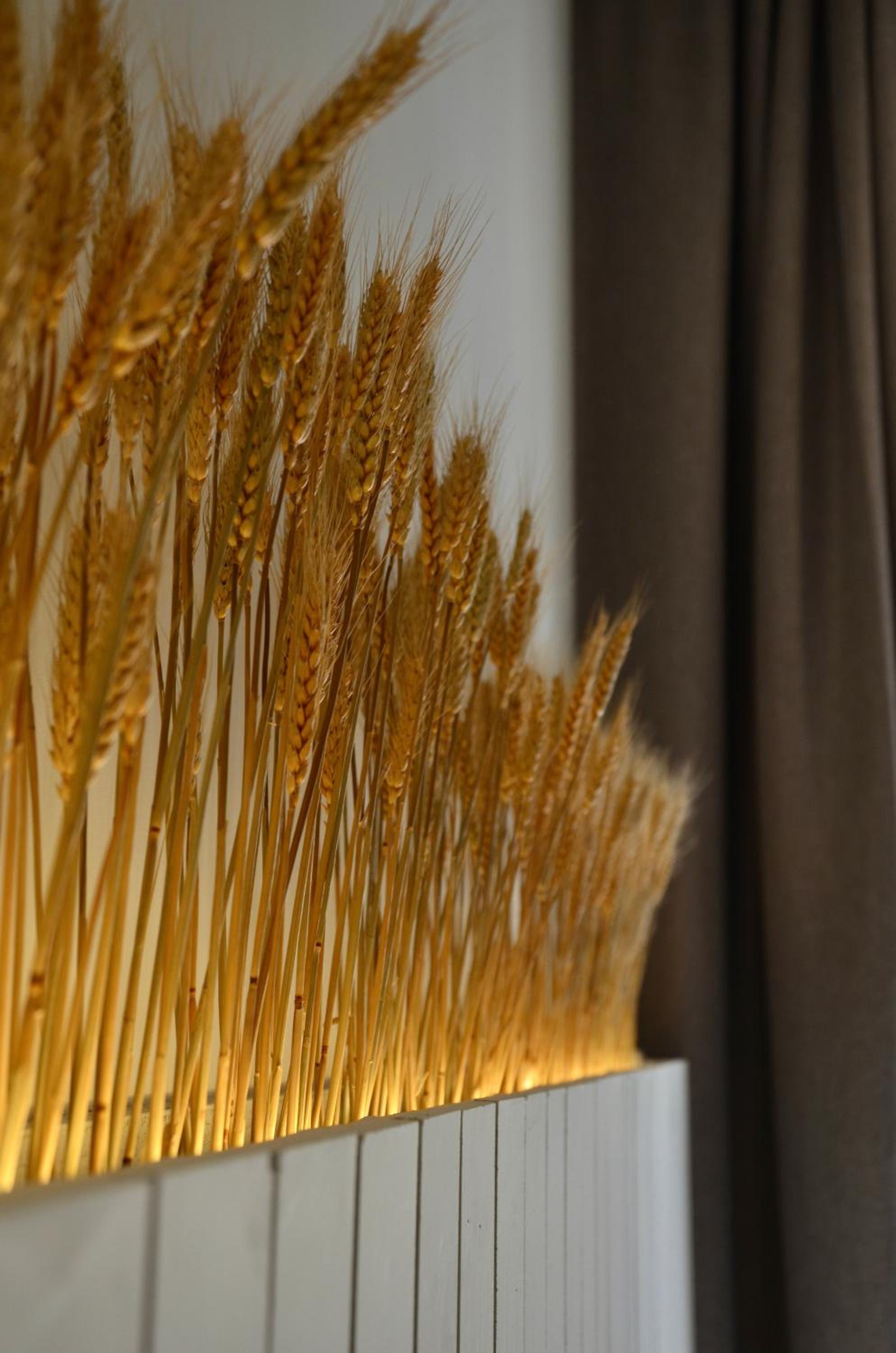 Фото Hotel Maison Soleil