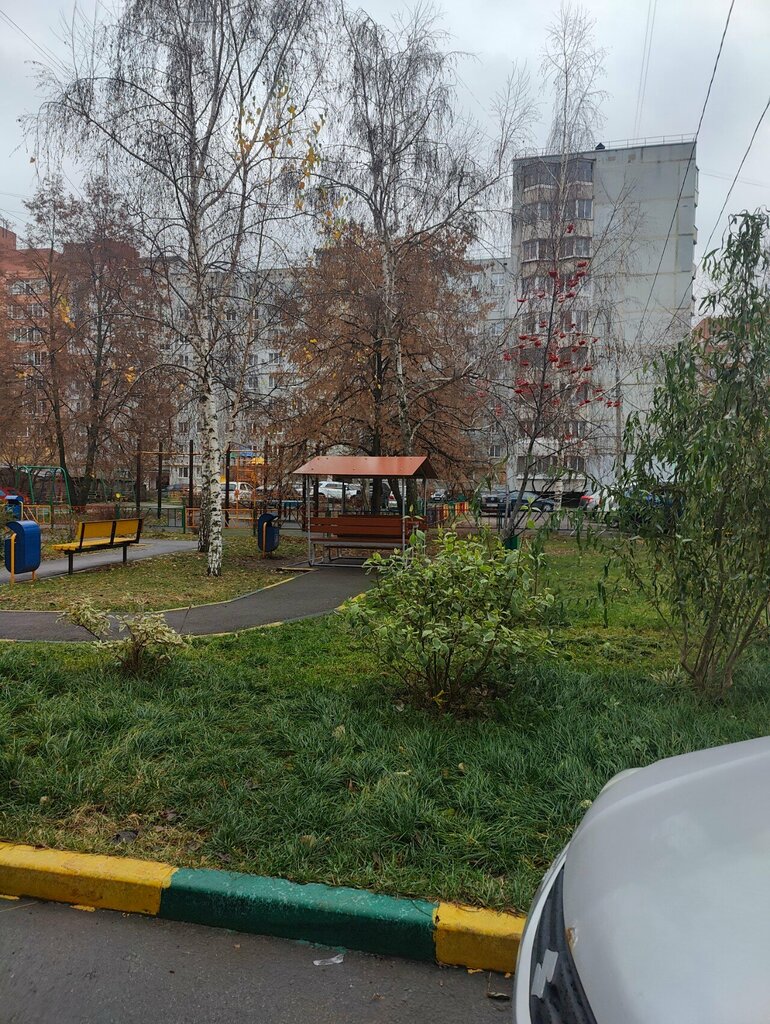 Gazebo Gazebo, Tula, photo