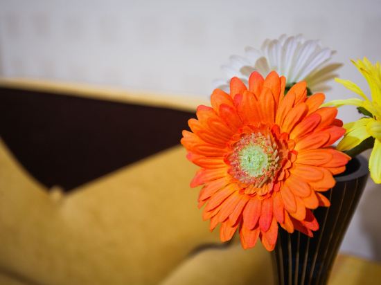 Фото Menlo Park Inn