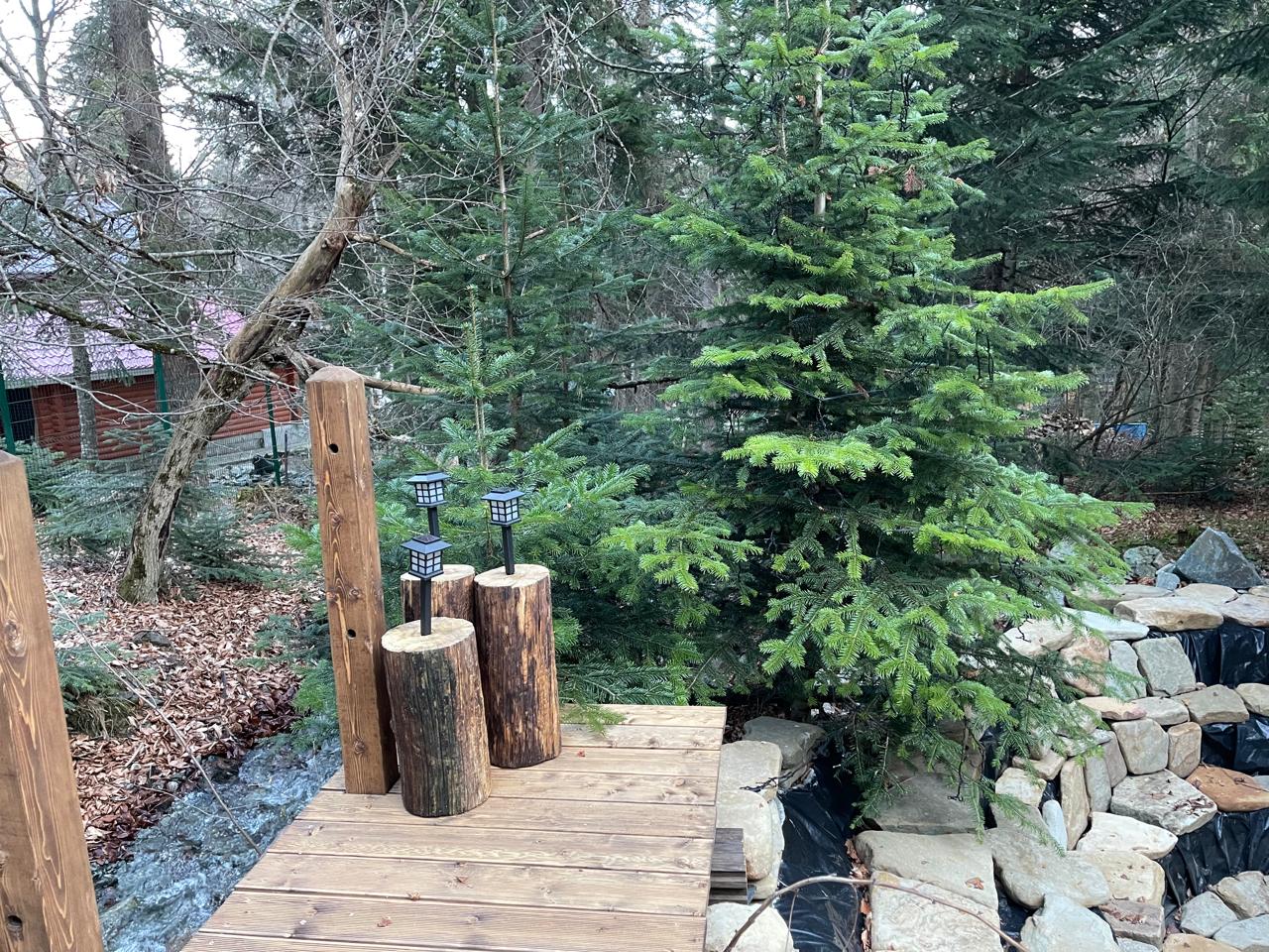 Фото Chalet Monte