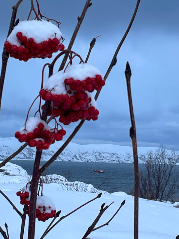 Фото 45 причал