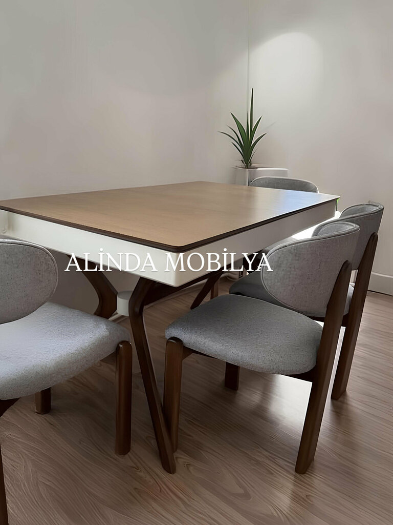 Furniture store Alinda Mobilya, Izmir, photo